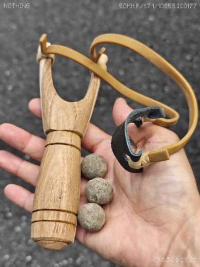 กิจกรรมปลูกป่าในส่วนสัตว์เขาเขียว