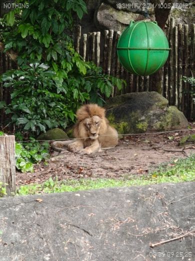 กิจกรรมปลูกป่าในส่วนสัตว์เขาเขียว