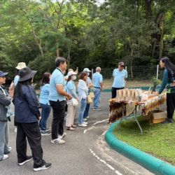 กิจกรรมปลูกป่าในส่วนสัตว์เขาเขียว