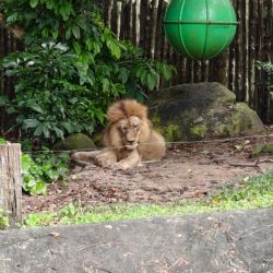 กิจกรรมปลูกป่าในส่วนสัตว์เขาเขียว