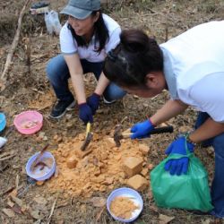 กลุ่มพนักงาน เกลือพิมาย จำกัด ทำกิจกรรม “โป่งเกลือ เพื่อสัตว์ป่า” ณ หน่วยพิทักษ์อุทยานแห่งชาติเขาใหญ่ (ผากระดาษ)