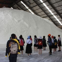 Team visited Phimai Salt Factory Limited
