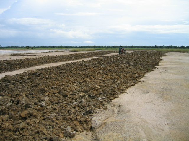 พยายามในการแก้ไขปัญหาดินเค็มโดยการเติมอินทรียวัตถุให้กับดิน