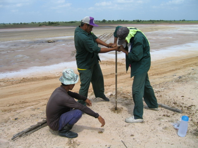 Salinity soil sampling