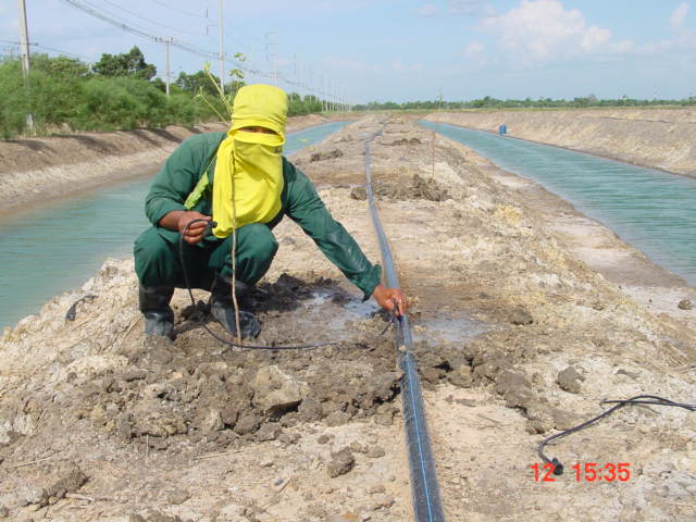 Watering by dipping system