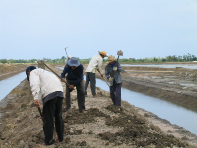 Using chaff and muck to fertilize the soil.