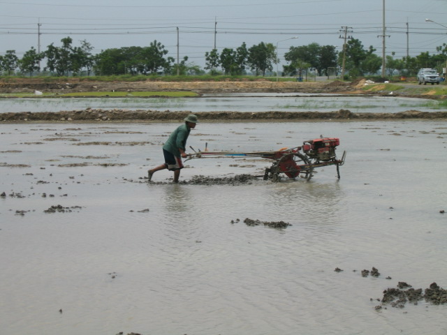 Plowing before planting