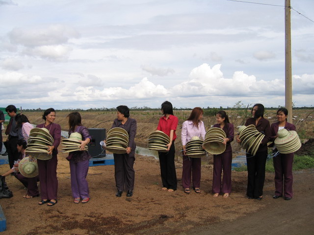 Pimai employees have cooperated to grow the salt tolerant trees.